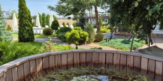 Чертовицы: Коттедж Guest House Хвоя