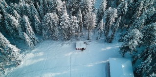 Артыбаш: Коттедж Серебряный источник