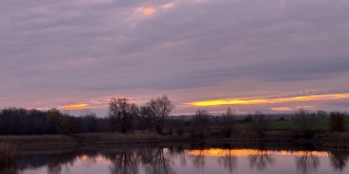 Подвалье: Глэмпинг Альфа