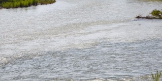 Усть-Кокса: Отель Тихий берег