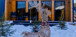 Улан-Удэ: Турбаза Номадик