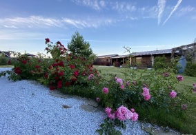 Турбаза Белая дача в Удмуртской Республике